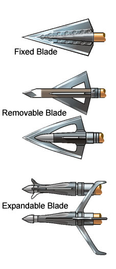 Types of crossbow hunting broad-heads