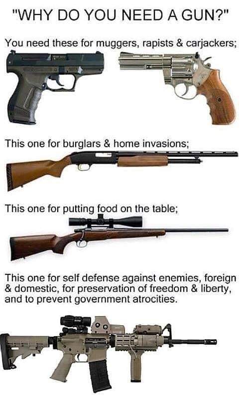 Why do you need a gun?